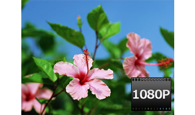 1080Pのフルハイビジョン撮影