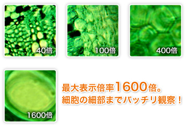 最大表示倍率1600倍。細胞の細部までバッチリ観察！