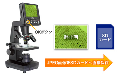 jpeg画像をSDカードへ直接保存