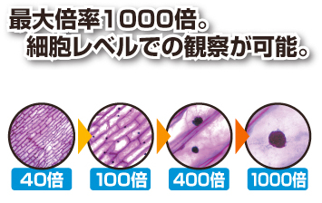 ev5680b_zoom.jpg