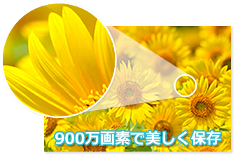 900万画素で美しく保存