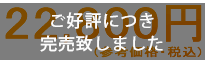 22800円